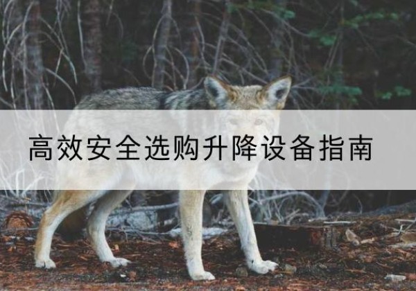 屯昌升降货梯厂家推荐-*安全选购升降设备指南