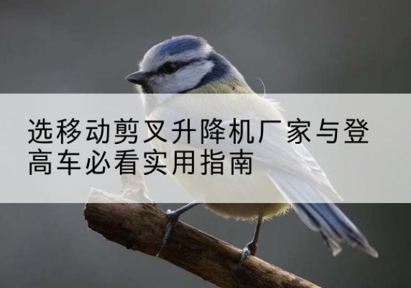 屯昌电动升降机厂家-选移动剪叉升降机厂家与登高车必看实用指南