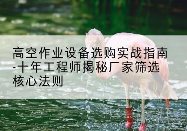 屯昌剪叉式升降机厂家-高空作业设备选购实战指南-十年工程师揭秘厂家筛选核心法则